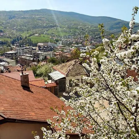 Lejla Holiday home *