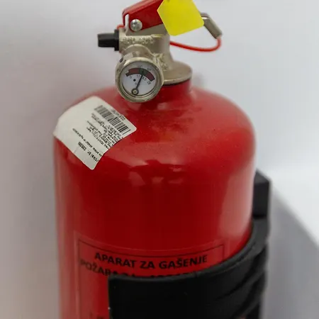 Lejla * 特拉夫尼克