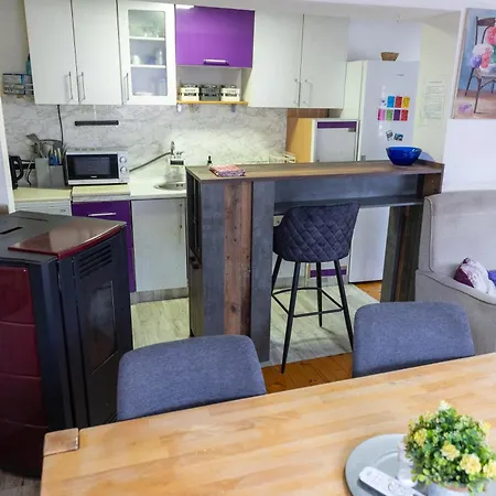 Lejla 特拉夫尼克