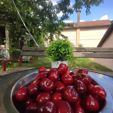 Vikendica Lejla Travnik