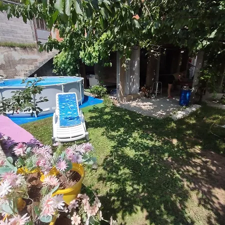 Lejla * 特拉夫尼克